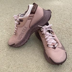 Nike trail Pegasus GTX